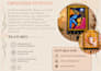 design a professional product catalogue or brochure